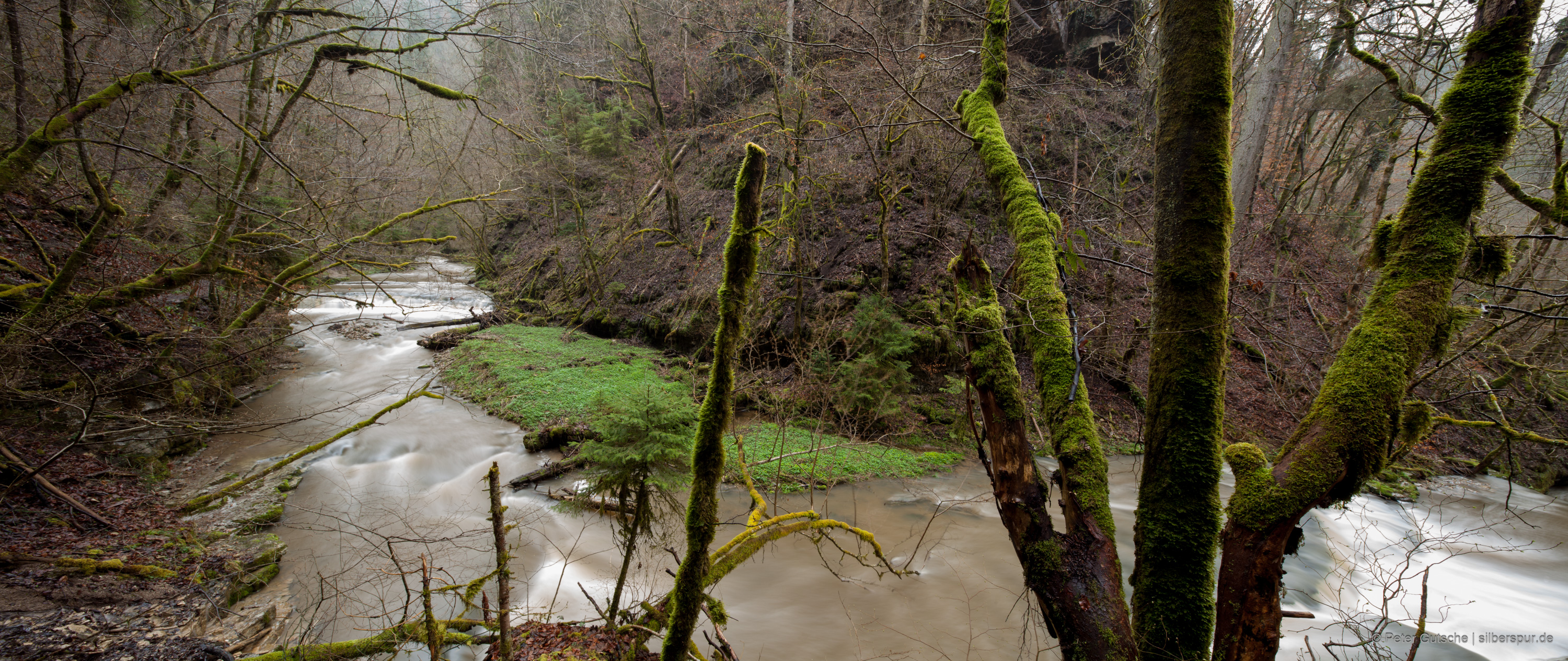 Ein breiter, wasserreicher Fluss zieht sich in einer weiten Kurve durch ein bewaldetes Tal. Die Ufer sind von dichtem, naturbelassenem Bannwald gesäumt. Das Wasser wirkt bräunlich gefärbt – vermutlich durch mitgeführte Sedimente. Im Vordergrund ragen moosbedeckte Äste von Bäumen ins Bild und geben dem Bild so eine räumliche Tiefe.