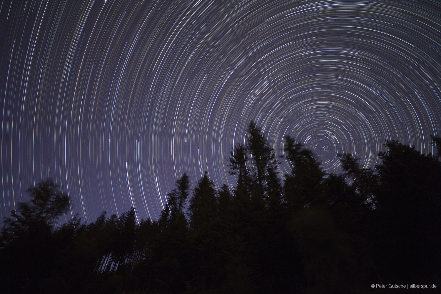 The dark silhouette of a forest, and above it the nighty sky, exposed long time. 
                Therefore, the stars are visible as trails. 
                As the photo is shot into Northern direction, 
                the celestial pole is visible, around which the star trails are formed in circles.