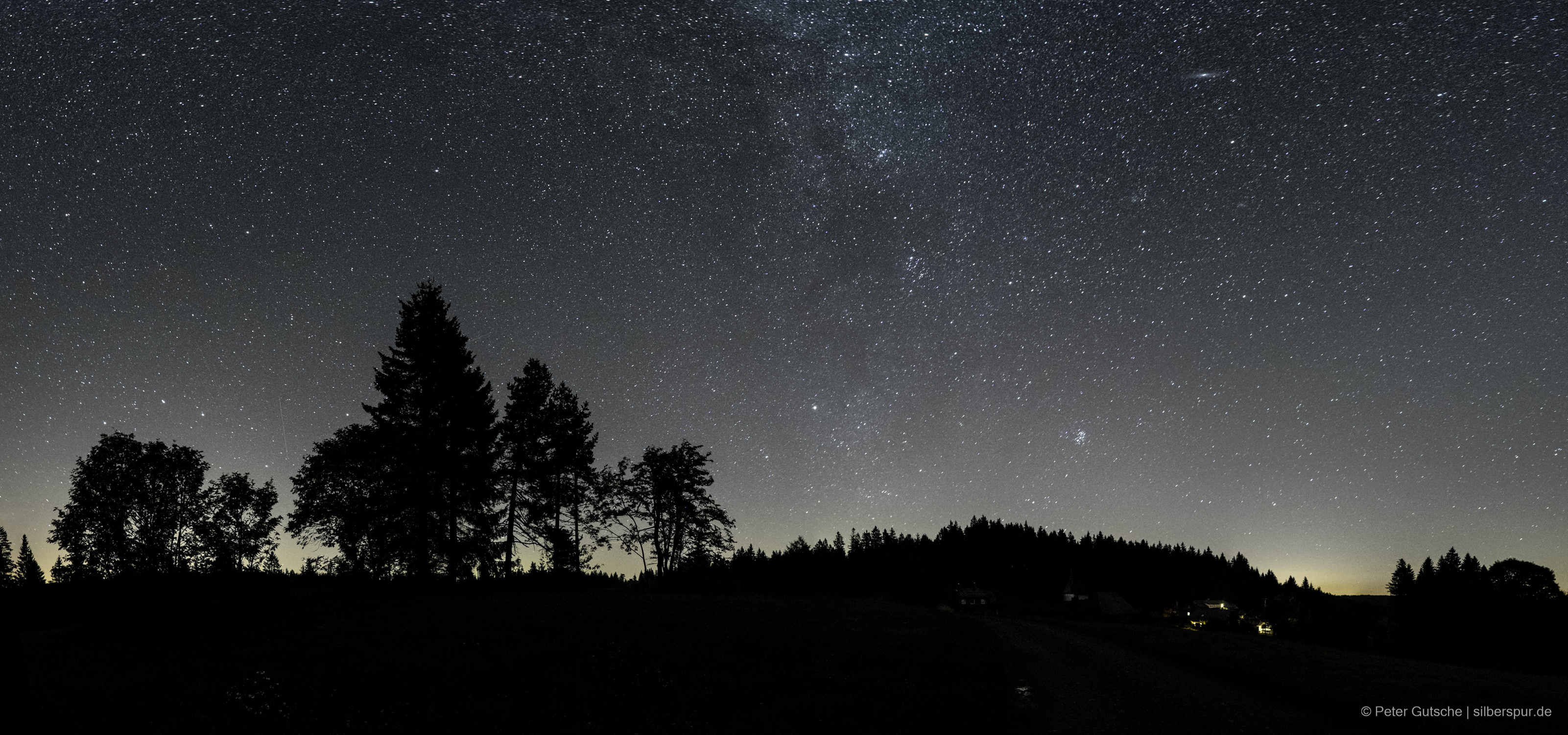 The northern night sky over a location in the Black Forest. A group of trees dominates the foreground as a dark silhouette. Above it, the star-filled sky with the band of the Milky Way.