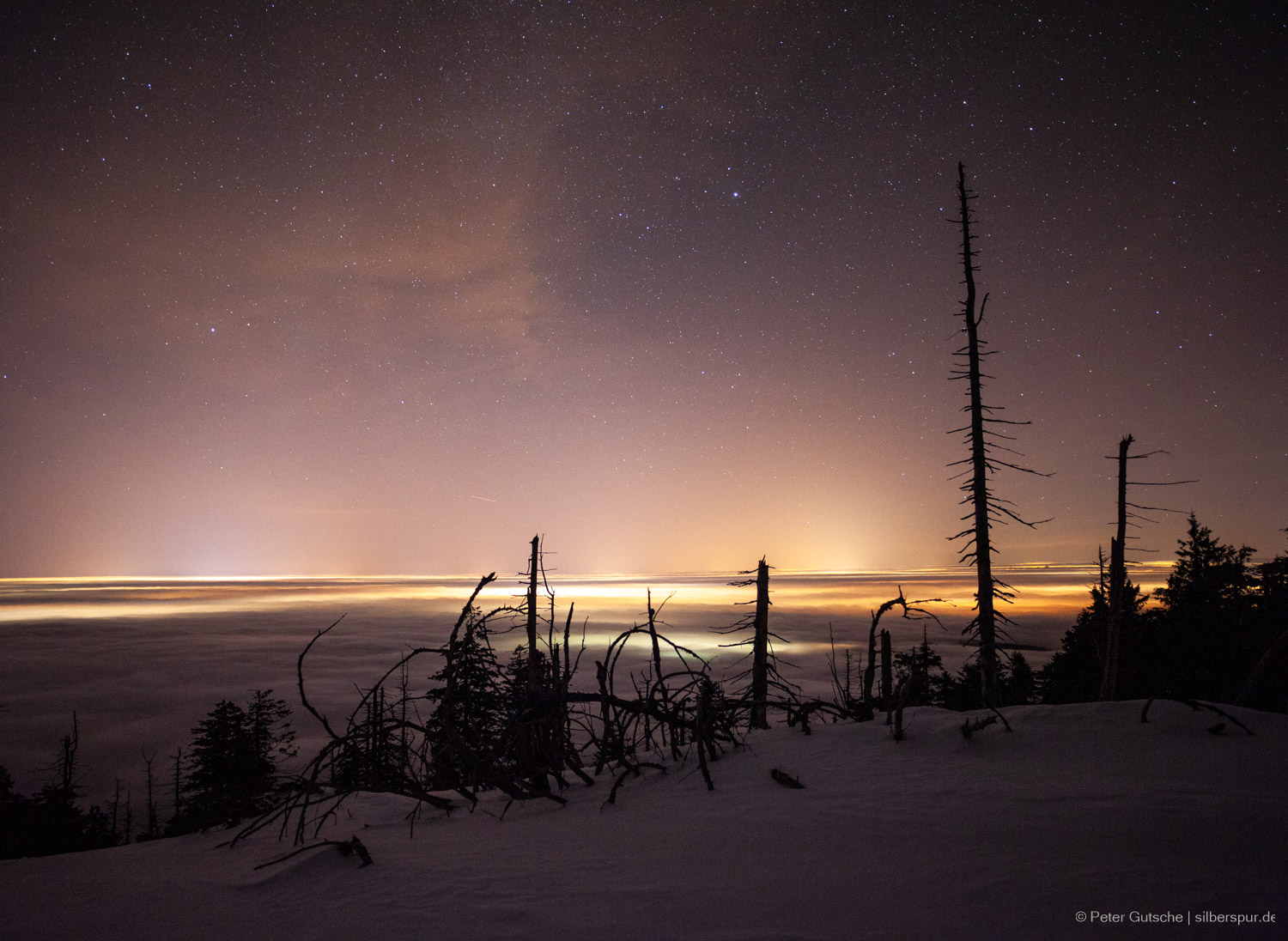 The dark silhouette of dead trees in a snow covered mountain top. In the background, 
              a plain under a sea of fog with lights from towns illuminating the fog from underneath. 
              Above, in the sky, stars are visible.