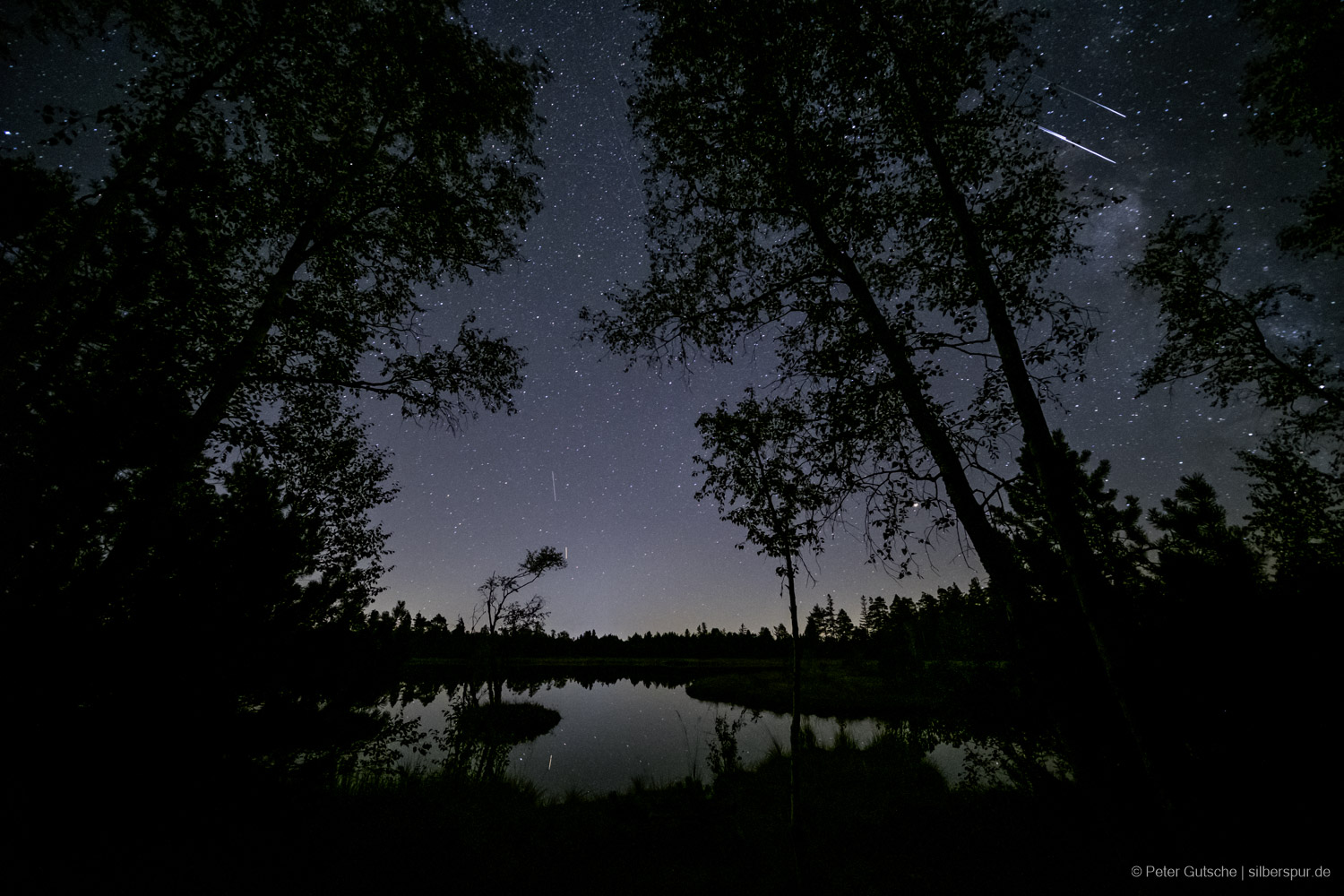 A night in the forest with trees partly covering the starry sky. In the background a lake which reflects the sky. At the upper right corner, three shooting stars are visible next to each other, following nearly the same direction.