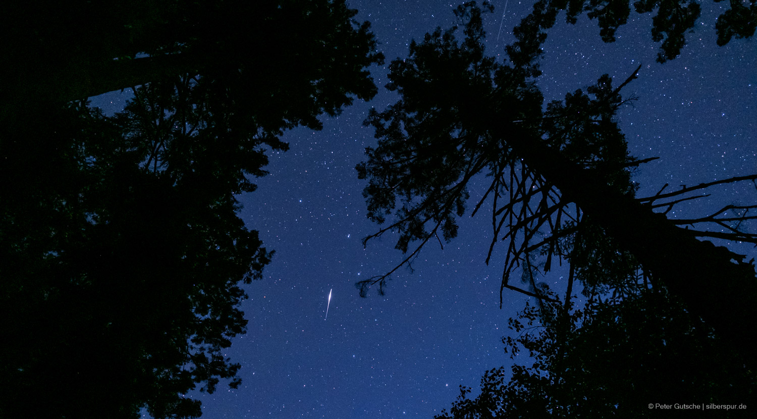 The night sky, photographed vertically upwards. In the foreground, some tree tops. Stars are visible in the sky and a bright, short streak of a flashing satellite.