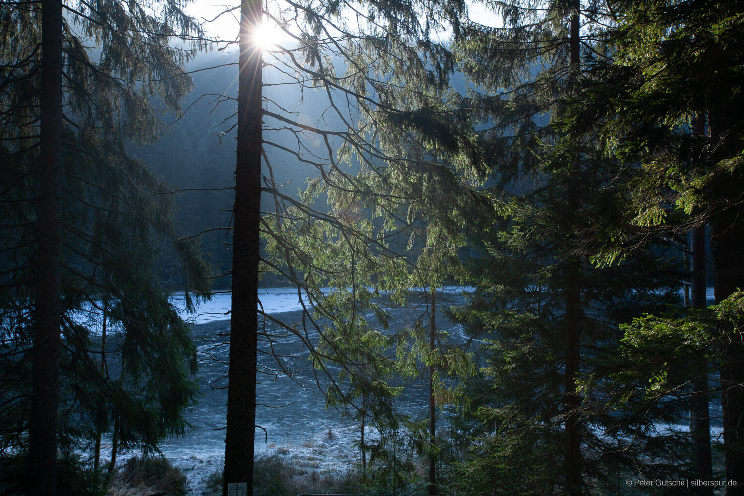 Schurmsee seen in winter with the water surface frozen. The low sun is partly covered by  atree and produces a sun star.