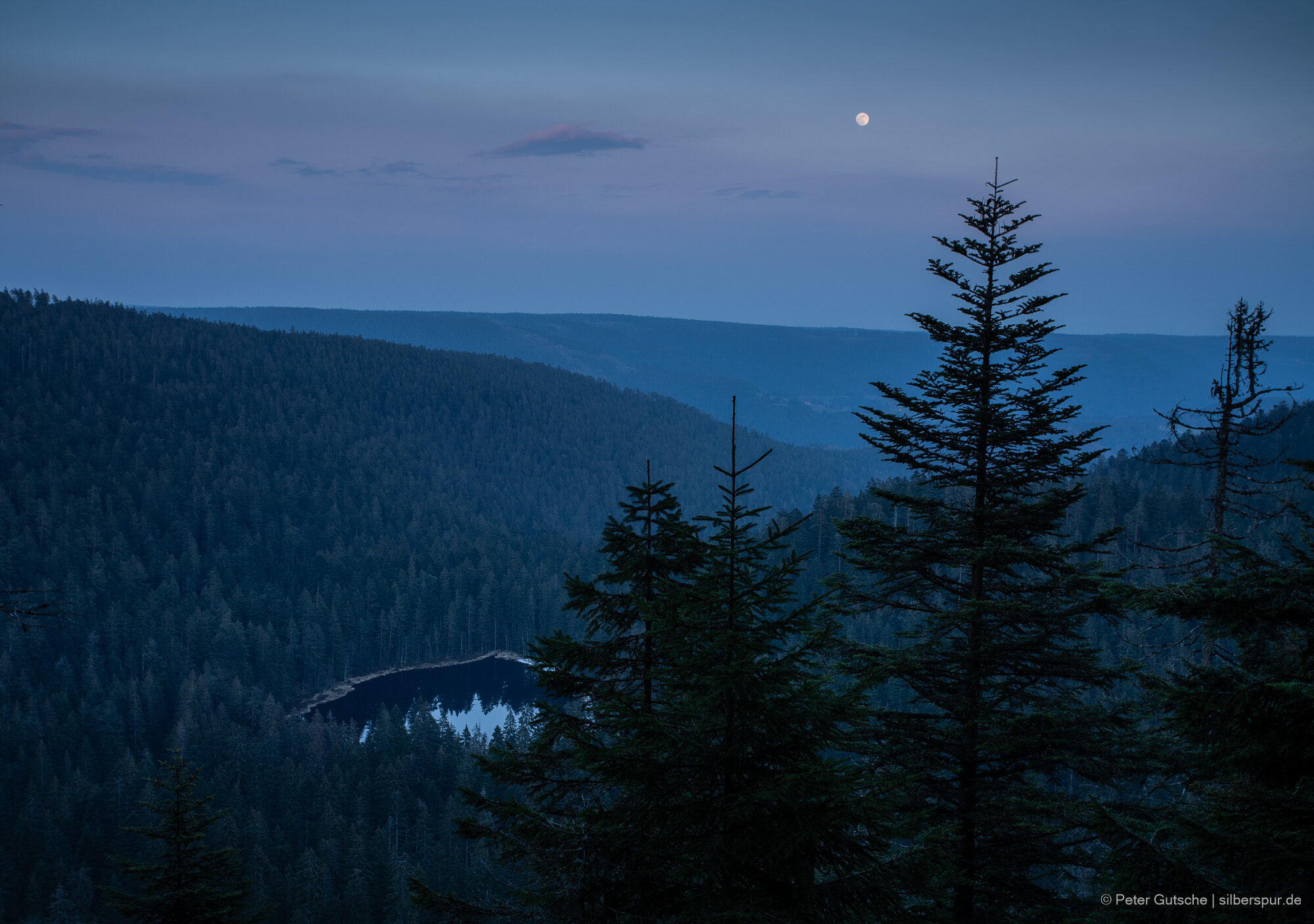 In a depression, surrounded by deep dark coniferous forest, the surface of a little lake reflects the remaining light of the sky at dusk. The surrounding mountains are bathed in blue light. Above them, the full moon.